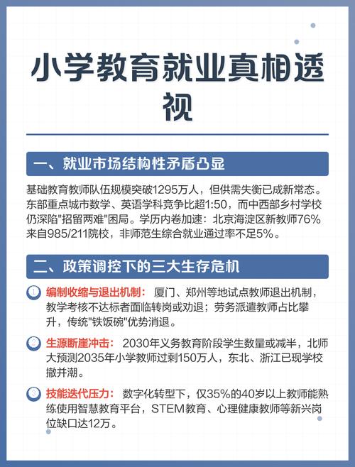 打破“稳定”滤镜 小学教育专业就业真相与教育软件的突围之路